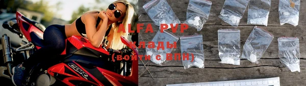ПСИЛОЦИБИНОВЫЕ ГРИБЫ Весьегонск