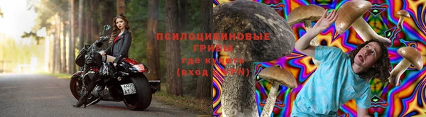 ALPHA PVP Ветлуга