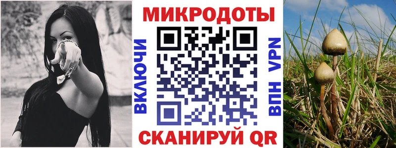 Псилоцибиновые грибы ЛСД  Ликино-Дулёво 